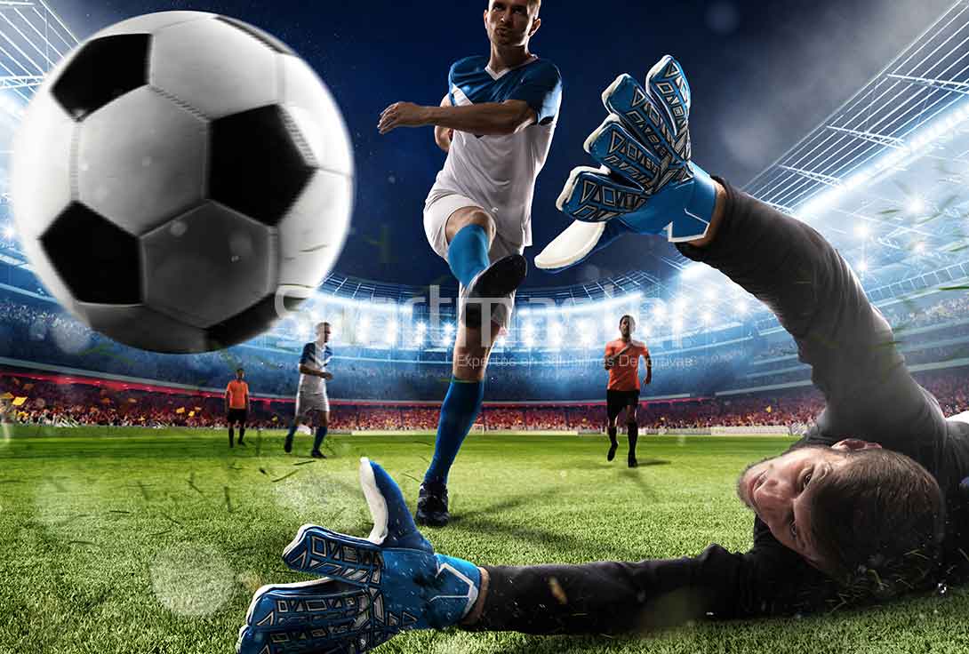 Conoce nuestro curriculum de canchas de pasto sintetico sportmaster mexico