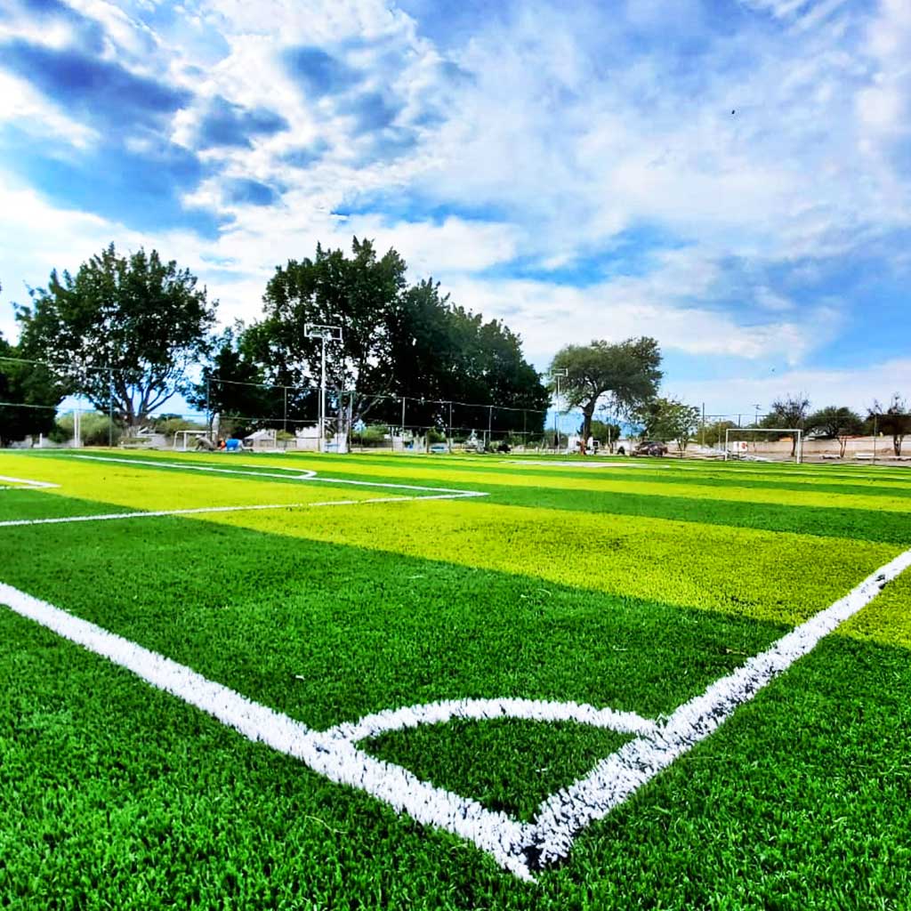 Unidad deportiva ernesto canto san luis potosi pasto sintetico