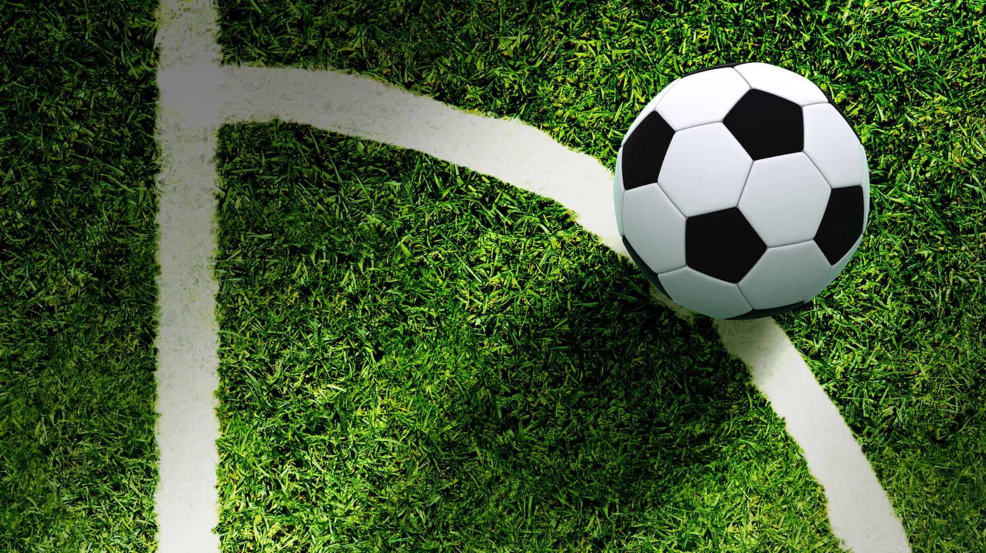 Tipos de canchas